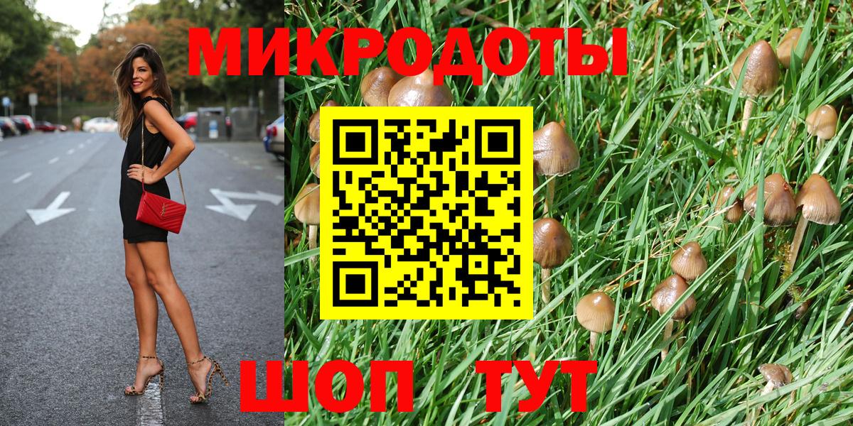 Славгород  Галлюциногенные грибы Psilocybe  Галлюциногенные грибы ЛСД  Вход с VPN 